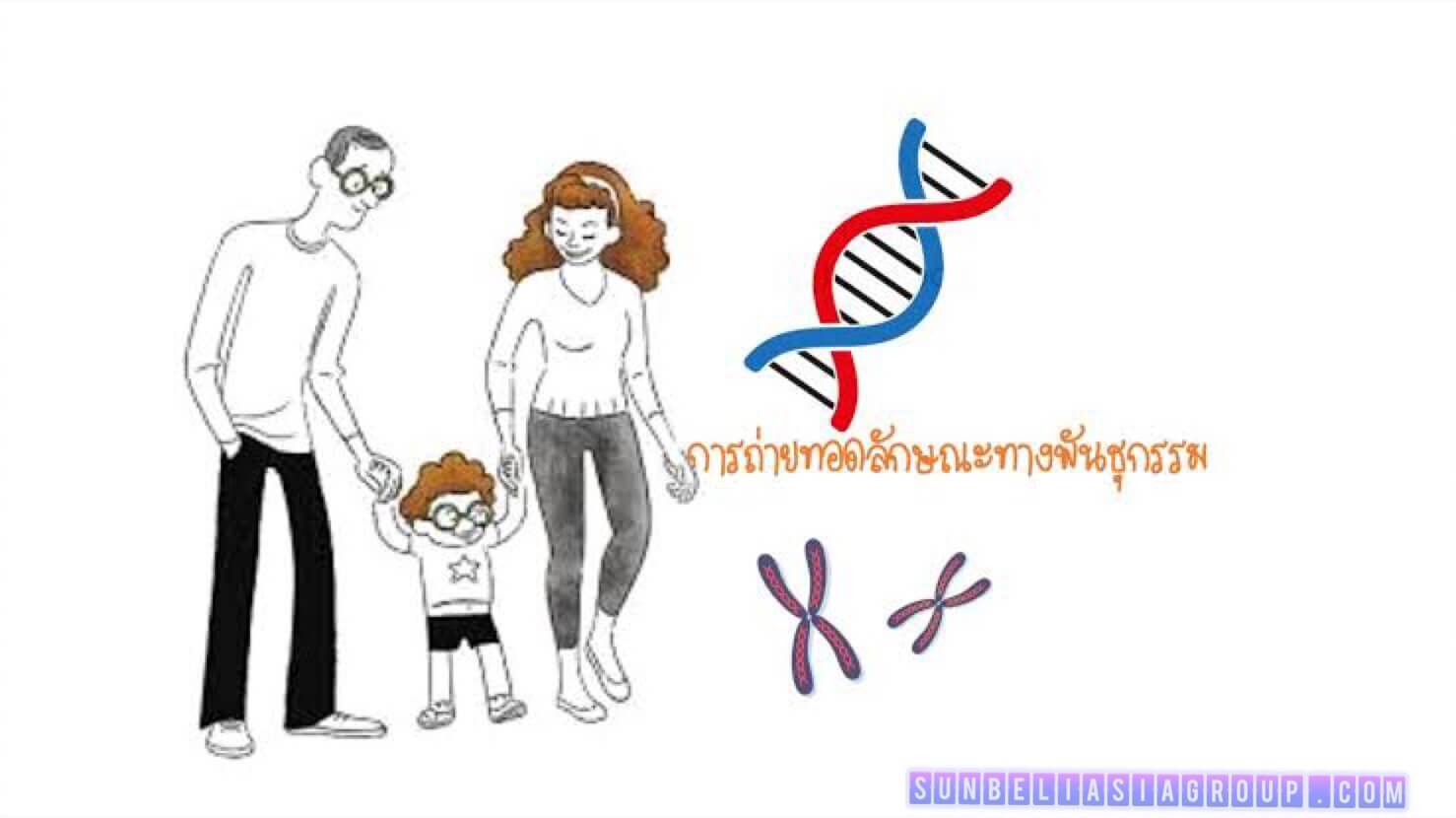 มะเร็งกรรมพันธุ์ ที่ควรรู้จัก