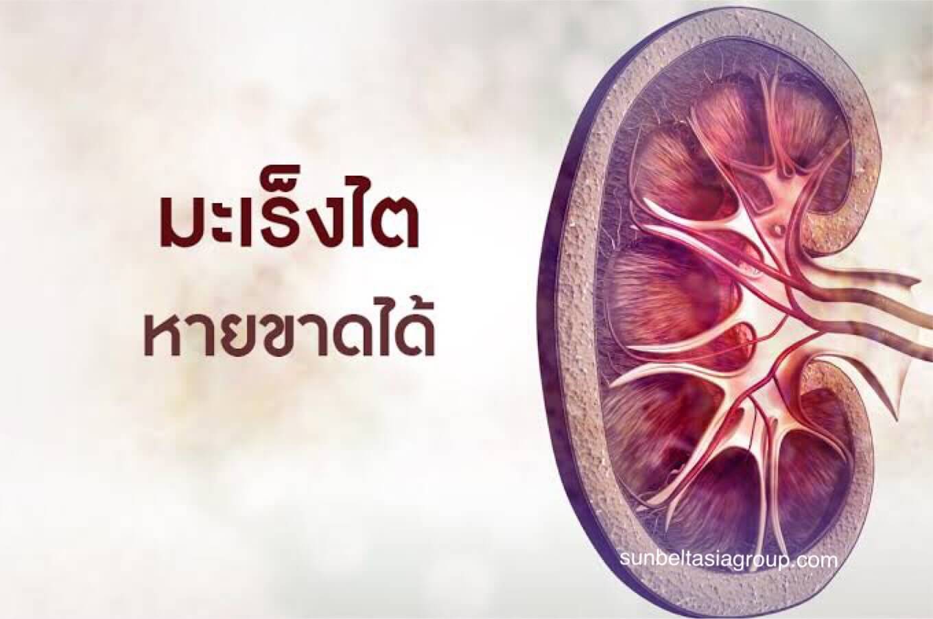 มะเร็งไต ที่ควรศึกษา