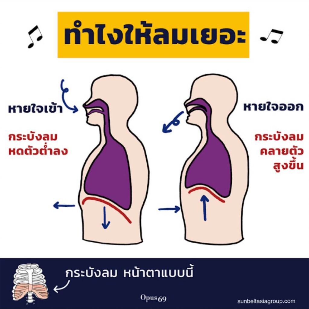 การหายใจด้วยกระบังลม ช่วยเสริมสร้างไดอะแฟรม ลดการทำงานของการหายใจโดยทำให้อัตราการหายใจของคุณช้าลง ลดความต้องการออกซิเจน