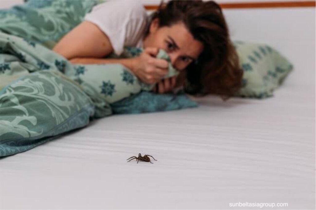 โรคกลัวแมงมุม คืออาการกลัวแมงมุมและแมงอื่นๆ arachnophobia ทำให้เกิด ความเครียดทางคลินิกอย่างมีนัยสำคัญซึ่งอาจส่งผลกระทบต่อคุณภาพชีวิต