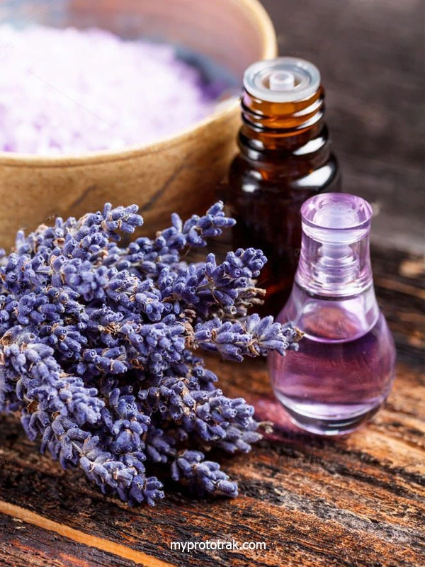ลาเวนเดอร์ออยล์ (Lavender Oil) น้ำมันหอมระเหยยอดฮิต เพื่อผิวใส